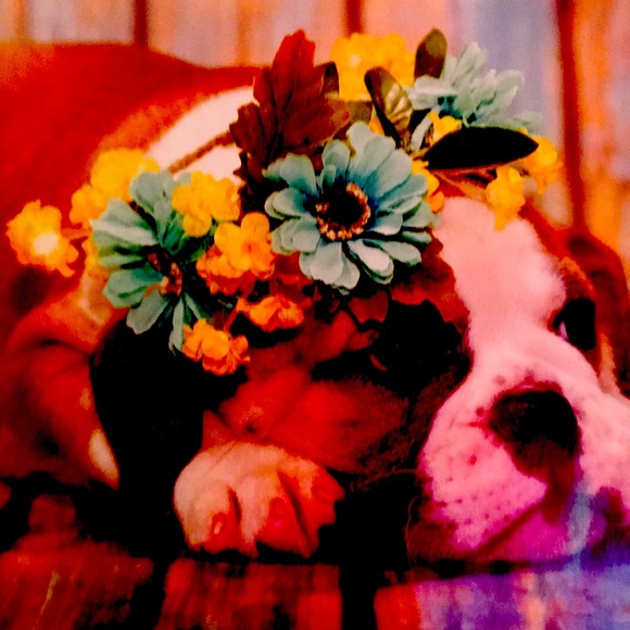 Wall Sticker - Picture 1 of 1